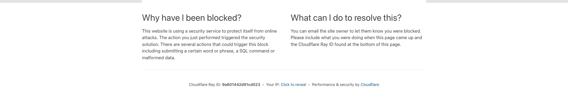 les bonus de Dracula Casino